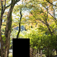 庭園