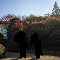 庭園