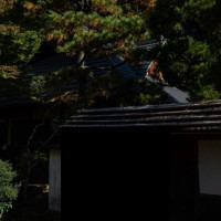 庭園