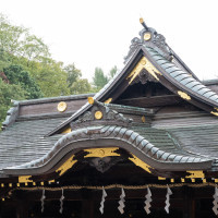 大国魂神社の本殿。