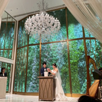 バックが緑で綺麗です