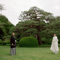桃林荘の庭の立派な松です。
