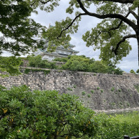 西の丸庭園は大阪城が1番近く見える場所です