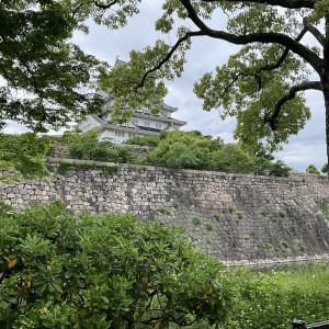 西の丸庭園は大阪城が1番近く見える場所です|750143さんの大阪城西の丸庭園 大阪迎賓館の写真(2450104)
