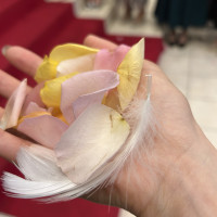 フラワーシャワー