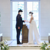 mirror mirrorさんで選んだドレスです