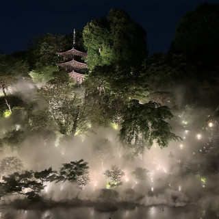 夜はお庭がライトアップされます