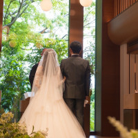 ヴァンベールのようす