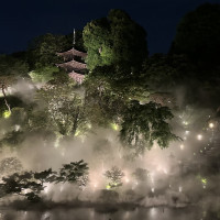 夜はお庭がライトアップされます