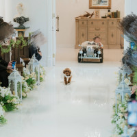 愛犬と愛息子でリングを運んでもらいました