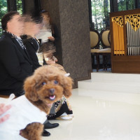 チャペルでのワンコ。大人しくしてくれてました。