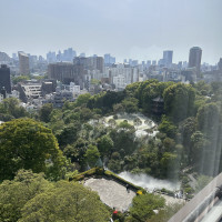 雲海が見えます！