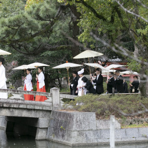 参列|750741さんの住吉大社の写真(2452579)