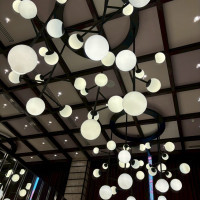 披露宴会場の天井