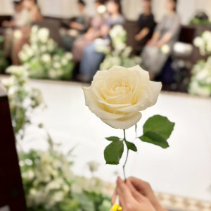 ダーズンローズセレモニーのバラ、チャペル装花|750832さんのアンジェリオン オ プラザ 東京（Angelion au plaza TOKYO）の写真(2453882)