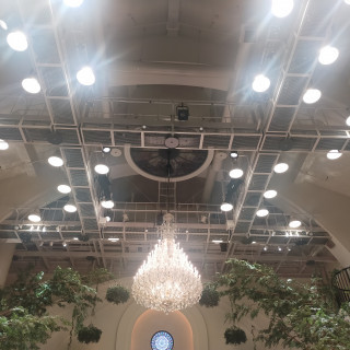 チャペルの天井