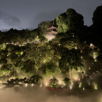夜の庭園