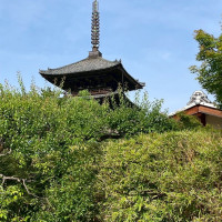 式場内の緑が綺麗でした。
八坂の塔が望めます。