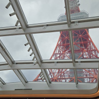 式場の天井