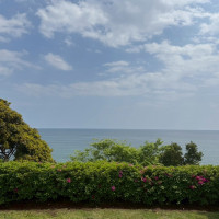 海と緑しか見えません！