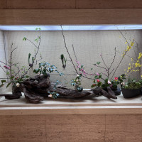 生花