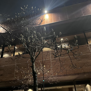 お庭|751082さんのSHIROYAMA HOTEL kagoshima（城山ホテル鹿児島）の写真(2454763)