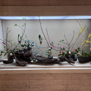 生花|751082さんのSHIROYAMA HOTEL kagoshima（城山ホテル鹿児島）の写真(2454772)