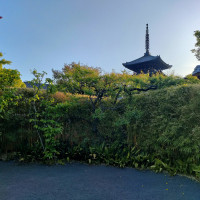 お庭