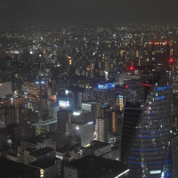 ロビーからの景色