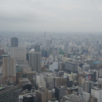ロビーからの景色