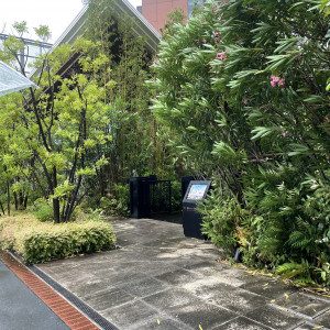 外観も緑が沢山あります。|751194さんのTHE GRAND ORIENTAL MINATOMIRAI(グランドオリエンタル みなとみらい)の写真(2458065)