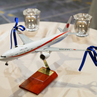 飛行機リングピロー