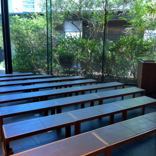 常緑樹だそうです。