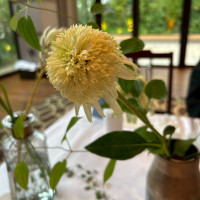 装花