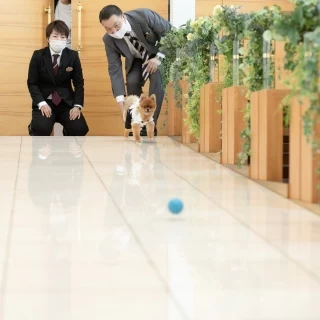 リングドッグのリハーサル(笑)