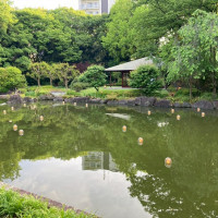 披露宴会場からこちらの素敵な景色が見えていました。