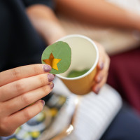 リーフシャワー