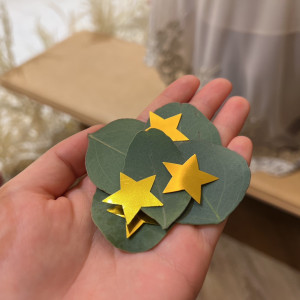 リーフシャワー|752058さんのTHE CLASSICA BAY RESORT (ザ クラシカ ベイリゾート)の写真(2582185)