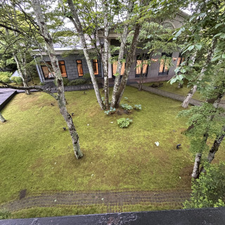 中庭の全景です。