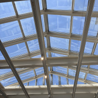 フラワーシャワー場所天井
