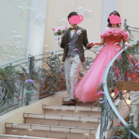 ガラス張りの天井があり，雨天でも安心です．