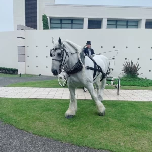 雨じゃなかったら馬車でガーデンに再登場|752360さんのノートルダムマリノア/FIVESTAR WEDDINGの写真(2472725)