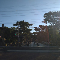 住吉大社の素敵な空気が満ちています