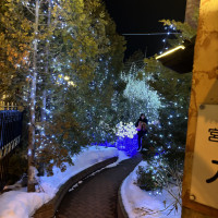 外のイルミネーションです！