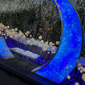 ガーデンのイルミネーションも綺麗です!|752457さんの宮の森フランセス教会の写真(2552305)