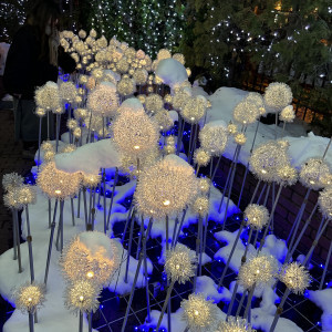 外のイルミネーションです!|752457さんの宮の森フランセス教会の写真(2552307)