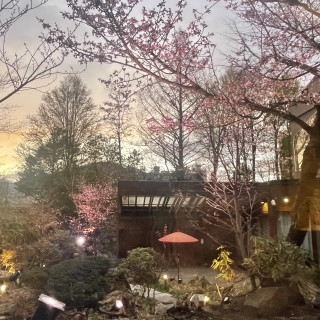 この時は桜が綺麗でした！私たちの式は紅葉が見頃な秋に行う予定