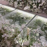 チャペルの床の花がとても綺麗でした。