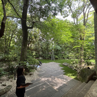 ほとんど常緑樹をつかっており季節問わず緑が楽しめる。