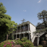 庭からの景色です